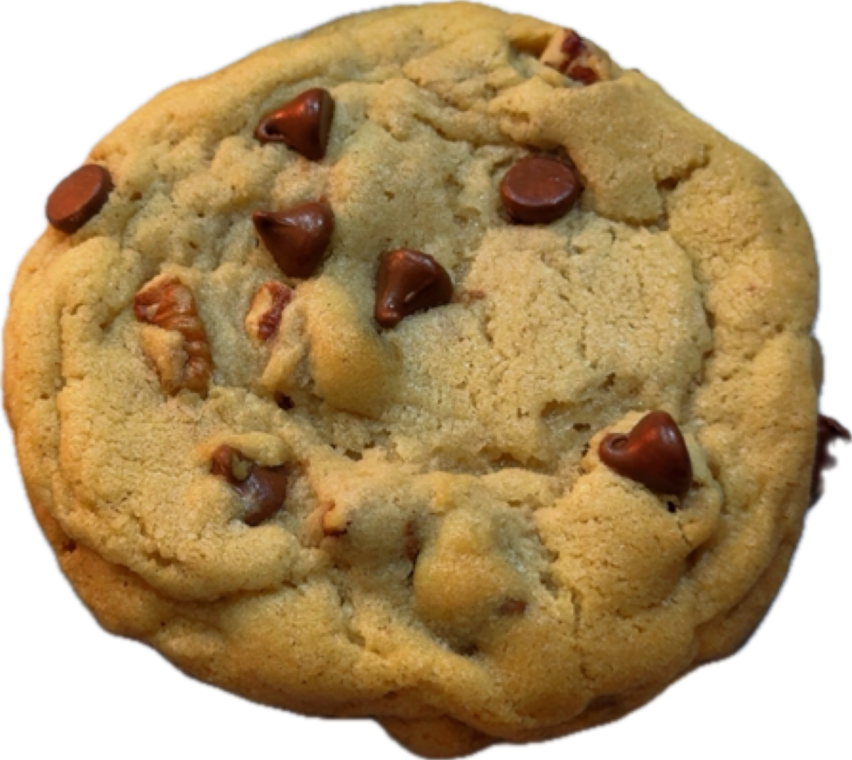 🤎 Dozen Brown Butter Chocolate Chip Pecan Cookie 🍪🍫